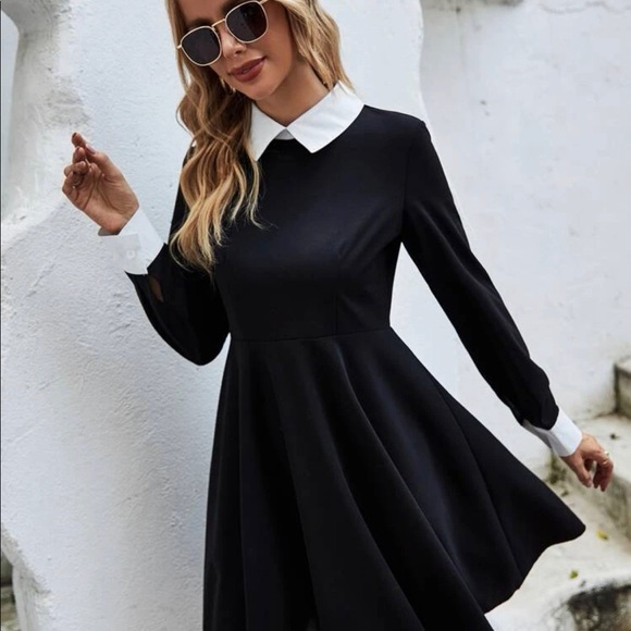 Contract trim fit & flare dress - Picture 3 of 9